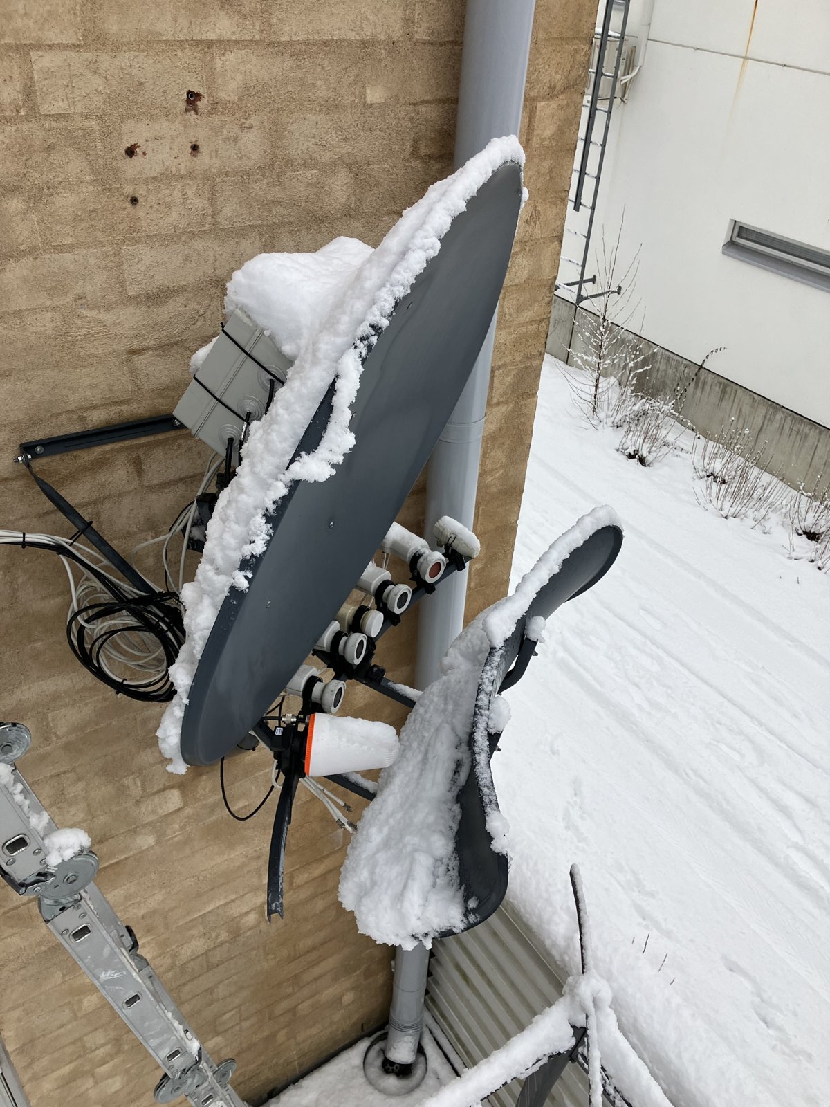 IceConeFeed and dish under heavy hoarfrost during a Finnish winter, still in service