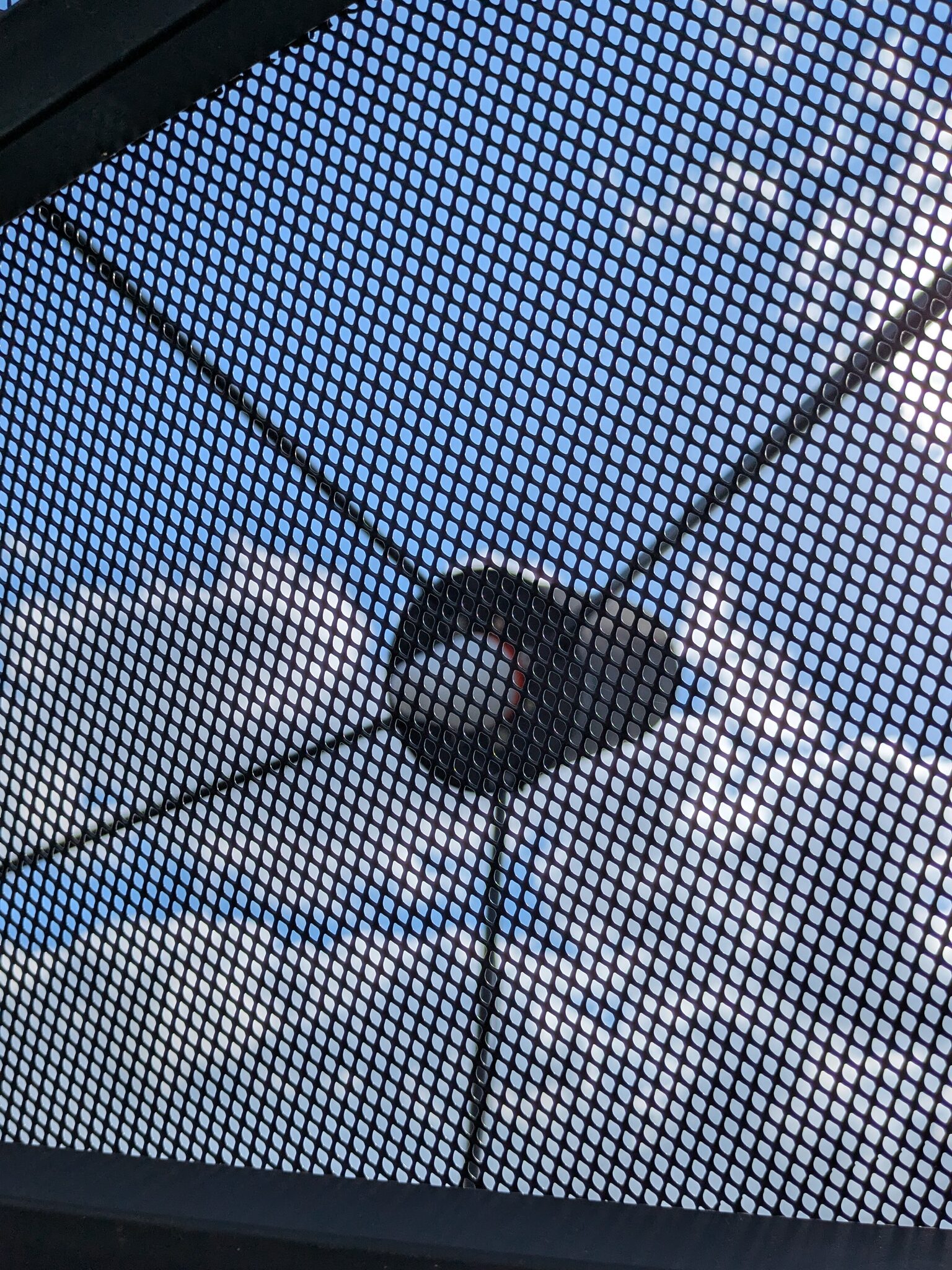 Close-up of the expanded-aluminium mesh of the 3 m SAMI dish, with the 2.2 GHz IceConeFeed visible through it